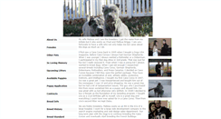 Desktop Screenshot of cmbcanecorsos.com
